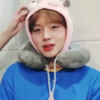 🦜 emoji Park Jihoon by @aratickers Telegram sticker 23 of 42