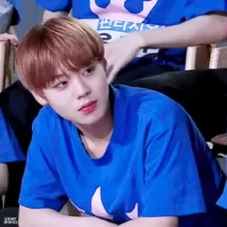 🦜 emoji Park Jihoon by @aratickers Telegram sticker 15 of 42