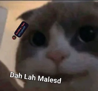 😔 emoji @Crypto08 Kocheng Unyu Telegram sticker 6 of 38