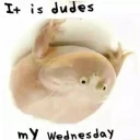 🙃 emoji Wednesday My Dudes Telegram sticker 22 of 85