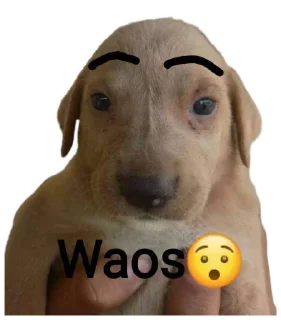 🫨 emoji Stikers by viejo sabrosongo Telegram sticker 7 of 7