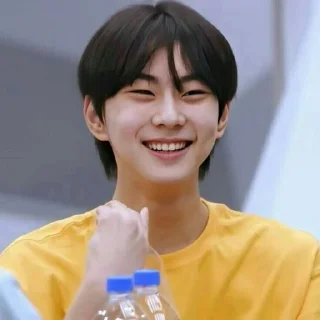 🧩 emoji yang jungwon, @stikeriland Telegram sticker 15 of 25