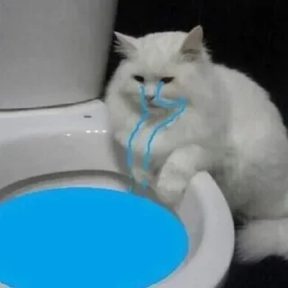 😢 emoji Eu Telegram sticker 17 of 55