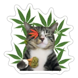 😚 emoji Fritz Telegram sticker 21 of 64