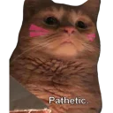 🙄 emoji Memes de retardado Telegram sticker 18 of 102