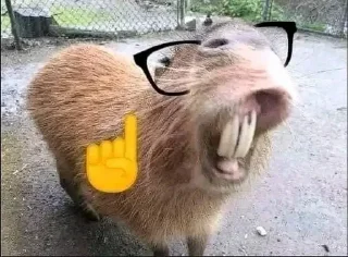 🤓 emoji capibara (@CalsiBot) Telegram sticker 23 of 35