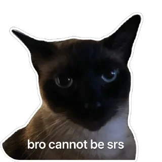 Sticker from Hiro Silly Cat