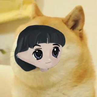 🐕 emoji Quamfy Milady Telegram sticker 16 of 120