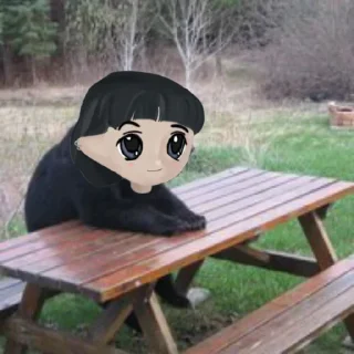 🐻 emoji Quamfy Milady Telegram sticker 7 of 120