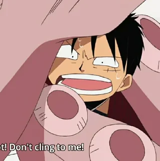 🍗 emoji NYX'S LUFFY PACK!🍖 Telegram sticker 3 of 76