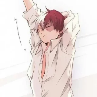 🔥 emoji Shoto Todoroki Telegram sticker 22 of 120