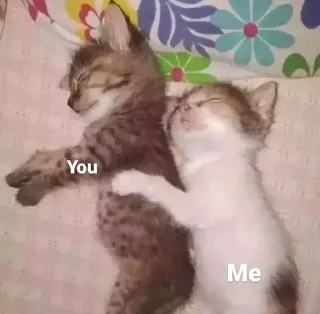 🥰 emoji 🐈 Telegram sticker 6 of 97