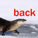 Sticker from Ultra Lutra