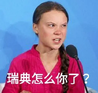 🇸🇪 emoji 🗺️怎么你了 Telegram sticker 23 of 32