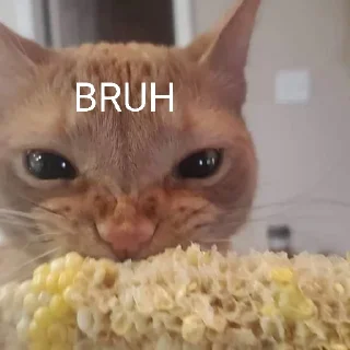 🐈 emoji Cat Eating Corn Telegram sticker 21 of 29