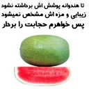 🍉 emoji استیکر های مذهبی @Nab_Fun Telegram sticker 22 of 88