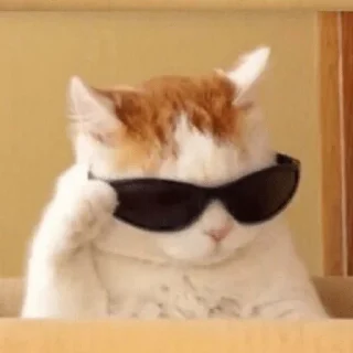 😎 emoji Ok Telegram sticker 19 of 21