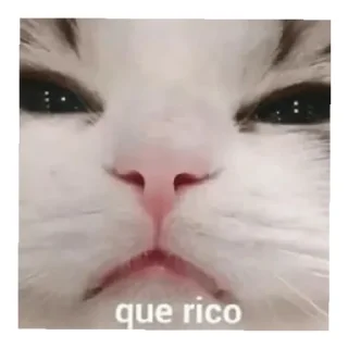 😄 emoji César -cg Telegram sticker 14 of 25