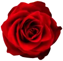 💐 emoji Flowers Telegram sticker 17 of 100