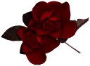 💐 emoji Flowers Telegram sticker 24 of 100