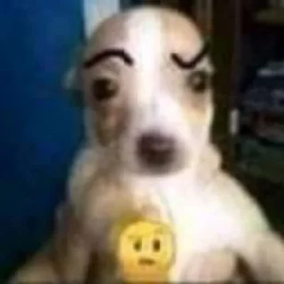 🤨 emoji Sexo Telegram sticker 5 of 39
