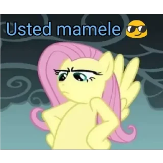 👥 emoji My Little Pony Telegram sticker 10 of 120
