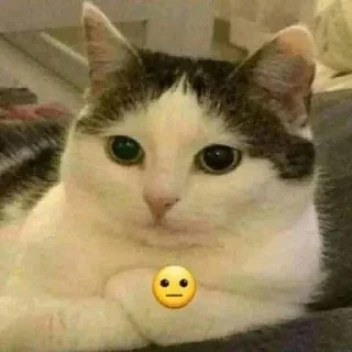😐 emoji Si Telegram sticker 13 of 34
