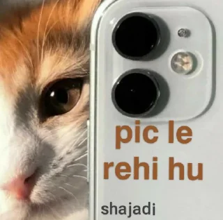 📸 emoji ✨𝆺𝅥⃞ͪ⃞⃞⃞͛⃞ ͣ ͬˢᵃᵐ ᵏⁱ ᵇⁱˡˡⁱ @Shahajadii Telegram sticker 12 of 30