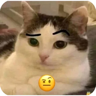 🐱 emoji 👋😸 Miau @MINALESO Telegram sticker 10 of 120