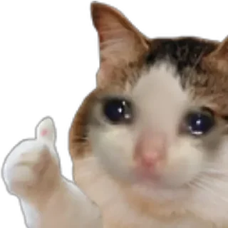 😭 emoji sad Telegram sticker 5 of 33