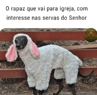 🐂 emoji Pacote do Inácio Telegram sticker 19 of 89