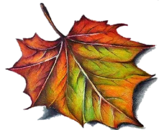 🍁 emoji Daylight Telegram sticker 11 of 116