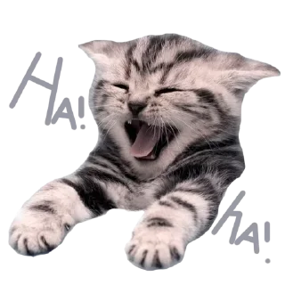 😆 emoji The Zueira Never End! Telegram sticker 24 of 119