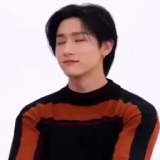 🦜 emoji Changkyun By @aratickers Telegram sticker 7 of 20
