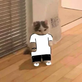 😐 emoji gato foda Telegram sticker 8 of 69