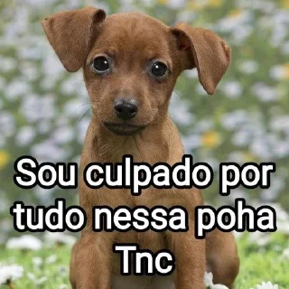 🐕 emoji Mensagens Fofas 4 Telegram sticker 7 of 120