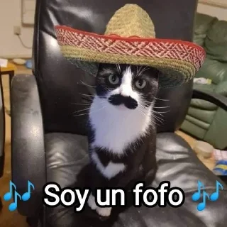 🇲🇽 emoji Mensagens Fofas 9 Telegram sticker 1 of 120
