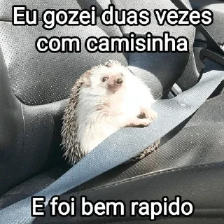 🦔 emoji Mensagens Fofas 9 Telegram sticker 13 of 120