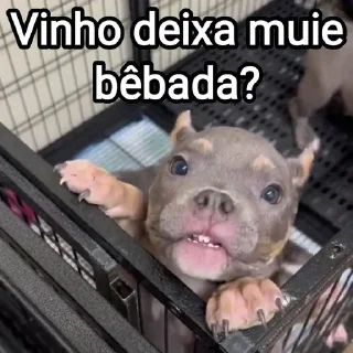 🍷 emoji Mensagens Fofas 6 Telegram sticker 23 of 120