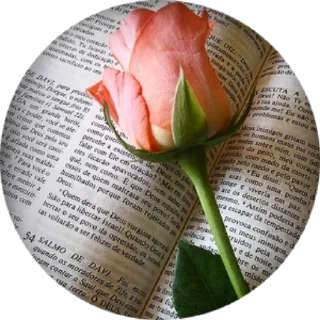 📖 emoji Mensagens 🌻🪻🪴🍀 @POSITIVOSER Telegram sticker 8 of 75