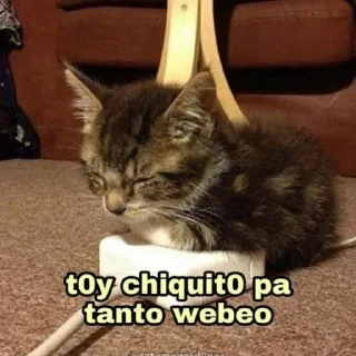 😴 emoji mucho sticker poco texto Telegram sticker 3 of 118