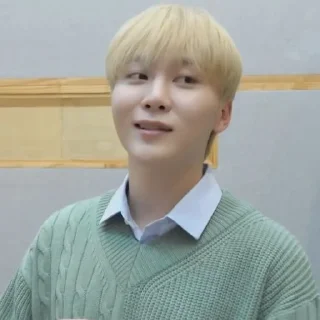 🥑 emoji @STIKERSVT : Seungkwan The Reason Recording Behind Telegram sticker 12 of 16