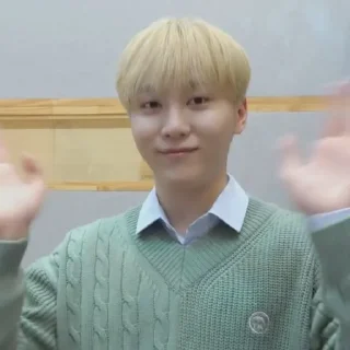 🥑 emoji @STIKERSVT : Seungkwan The Reason Recording Behind Telegram sticker 15 of 16