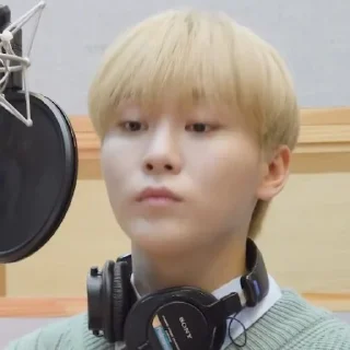 🥑 emoji @STIKERSVT : Seungkwan The Reason Recording Behind Telegram sticker 16 of 16