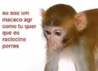 Sticker from @macaco
