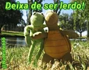 🐢 emoji Kermit, the frog 6 🐸 Telegram sticker 5 of 120