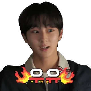 😧 emoji Enhypen Telegram sticker 21 of 51