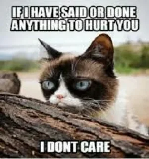 Sticker from Grumpy Cat Edition 3🐾
@EdwinLove