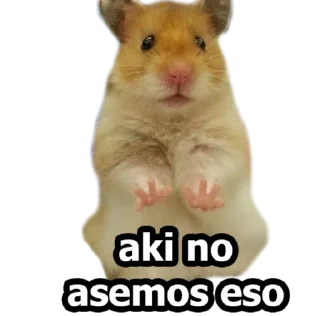 🤨 emoji HÁMSTERS - [Instagram: @WiStickers] Telegram sticker 5 of 20