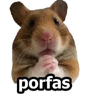 🙏 emoji HÁMSTERS - [Instagram: @WiStickers] Telegram sticker 9 of 20